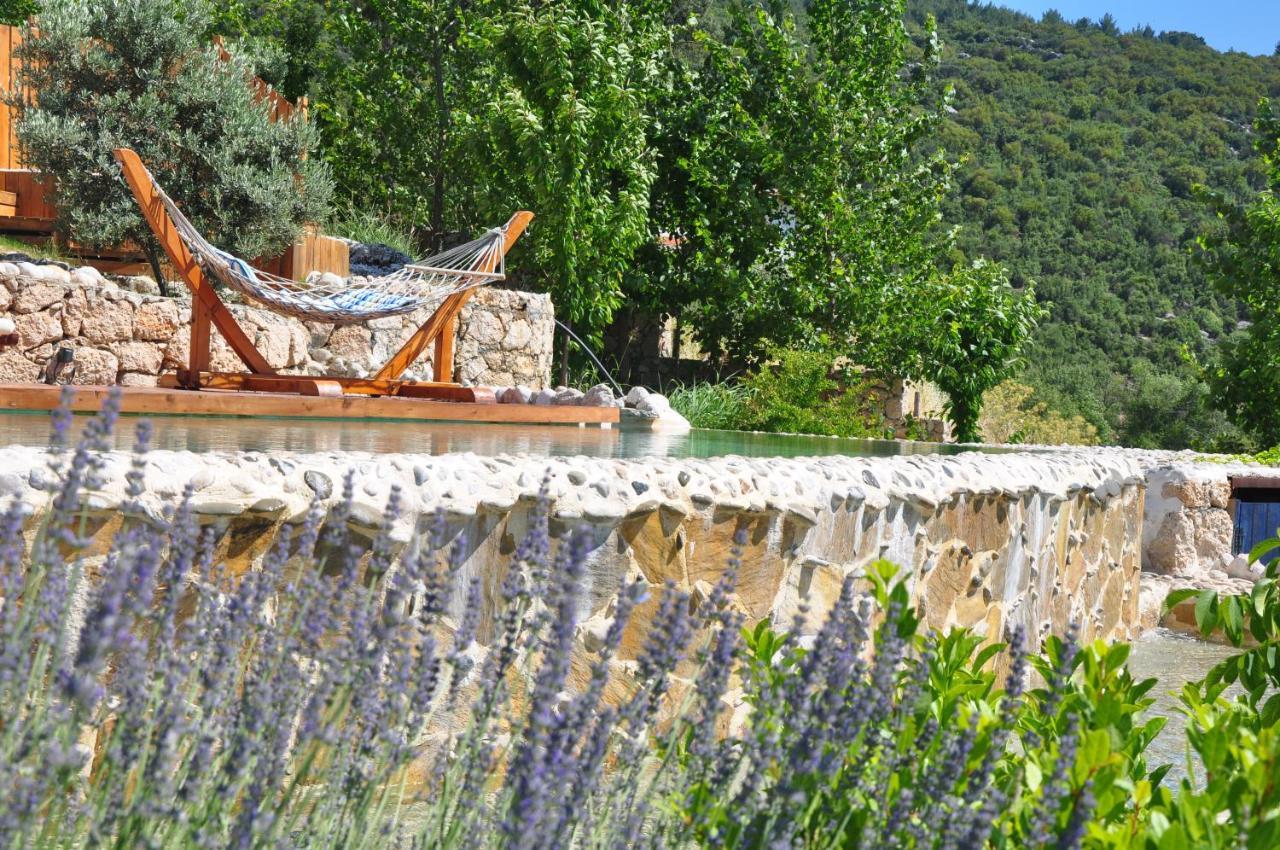 Ambar Evleri Kalkan Exterior foto